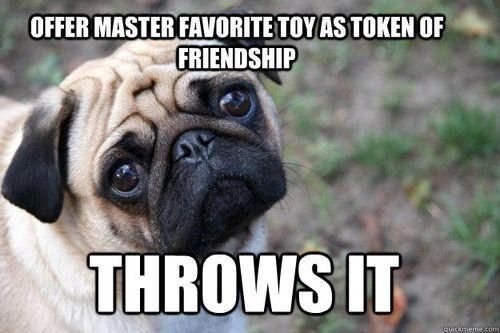 the-absolute-funniest-posts:  Follow this blog, you will love it on your dashboard
