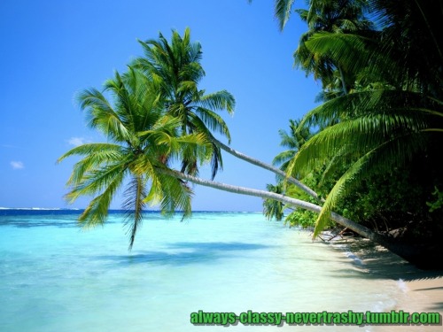 always-classy-nevertrashy:  PUERTO RICO♥ 