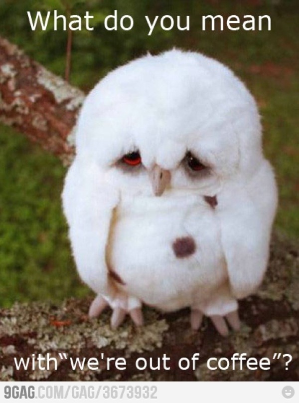 Don&rsquo;t worry little owl&hellip; I get sad too when I hear that&hellip;