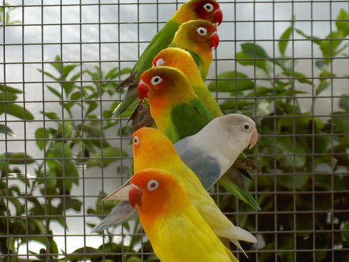 páramo