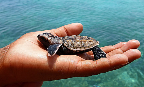 serenity-is-key: