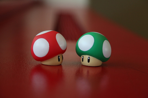 gofuckingnuts:  Epic life. on We Heart It. http://weheartit.com/entry/14253058 