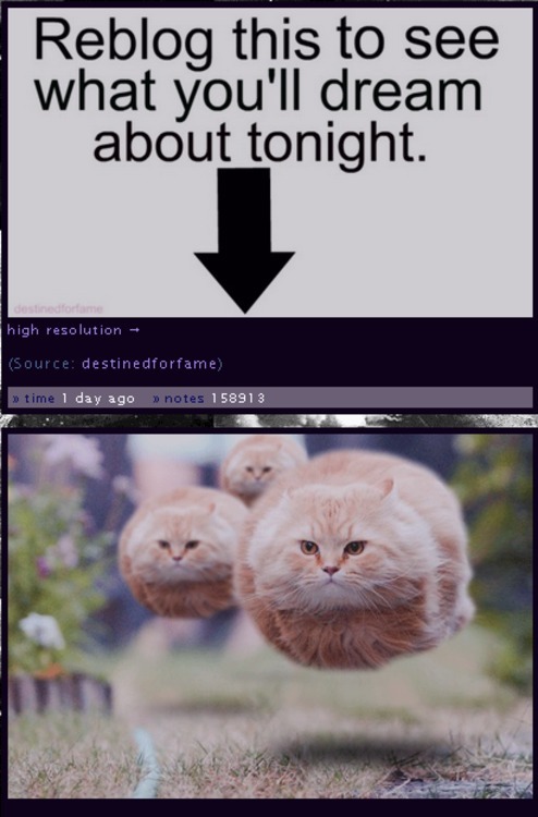 hah