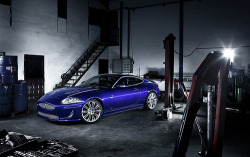 X-Rated Luxury