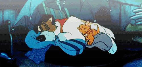 iwouldkiss100frogs: “You’re all right, kid, for a cat. We’ll keep a spot open in t