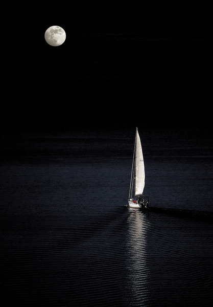 Tumblr's Largest Collection of Sailing Blogs