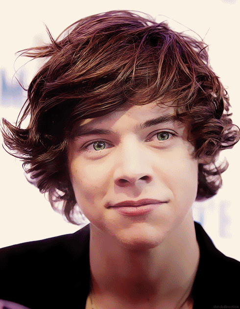harrytomlinson69:  REBLOG IF YOU WANNA TOUCH HIS HAIR! 