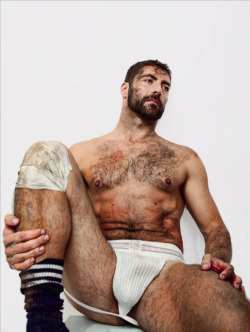 HAIRY BEARS AND SEXY MEN