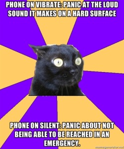 Anxiety Cat