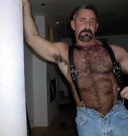 hairydaddy:  I wanna rip off his jeans and ?