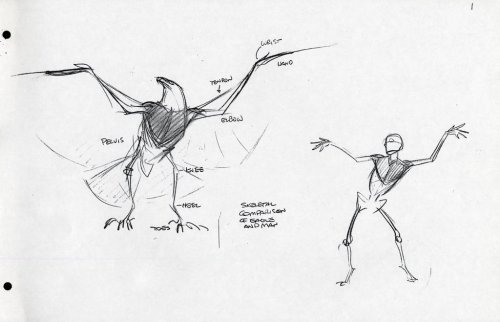 vickorano:  therotoscopers:  Marahute Model Fact Sheet - The Rescuers Down Under (1990) - by Glen Keane  Helpful sketches are helpful. 