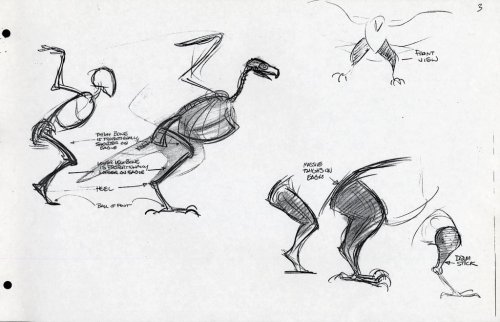 vickorano:  therotoscopers:  Marahute Model Fact Sheet - The Rescuers Down Under (1990) - by Glen Keane  Helpful sketches are helpful. 