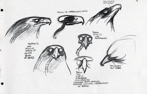 vickorano:  therotoscopers:  Marahute Model Fact Sheet - The Rescuers Down Under (1990) - by Glen Keane  Helpful sketches are helpful. 