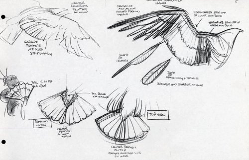 vickorano:  therotoscopers:  Marahute Model Fact Sheet - The Rescuers Down Under (1990) - by Glen Keane  Helpful sketches are helpful. 
