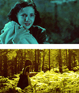  365 films challenge | #087: Pan’s Labyrinth (2006)   “You’re getting older, and you’ll see that life isn’t like your fairy tales. The world is a cruel place. And you’ll learn that, even if it hurts. Magic does not exist. Not for you,