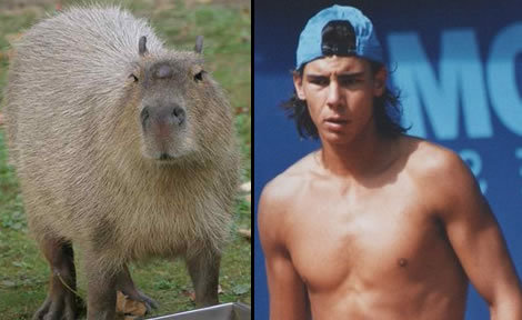 smokin’ capybara