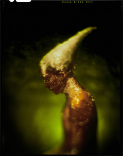 jameswigger:   with Brooke Lynne Kodak Ektachrome