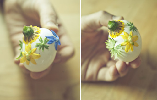 How to color eggs with onion shells.