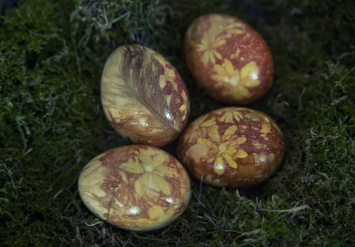 How to color eggs with onion shells.