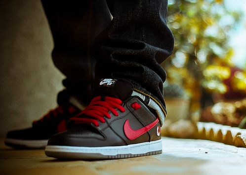 nike sb dunk low shrimp