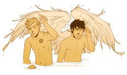 youhaveheardofme:  You know when bird takes a bath and shakes its feathers after that going all puff ? Yeah. 
