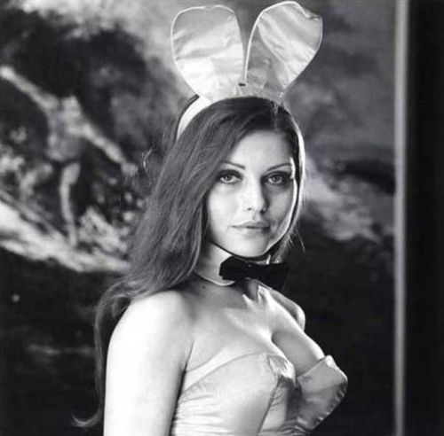 paltreaux: Debbie Harry Playboy Bunny