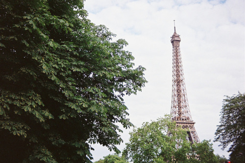 untitled by shainasavoia on Flickr.