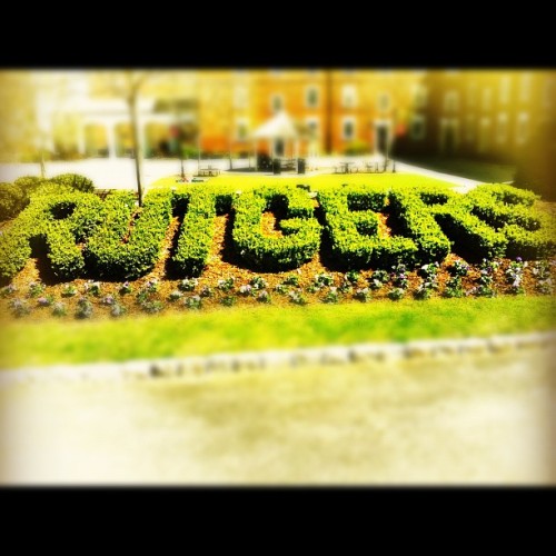 scarletsh1t:My school is pretty #rutgers (Taken with instagram)