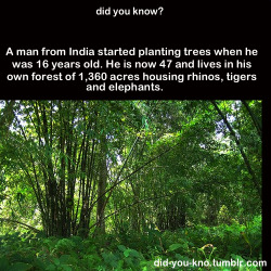 did-you-kno:  Source