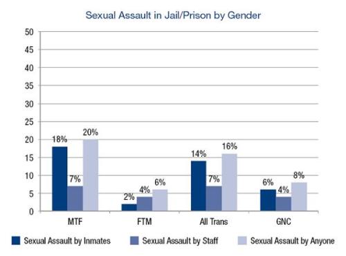 dumbthingswhitepplsay | transfeminism: These are graph from “Injustice at Every Turn