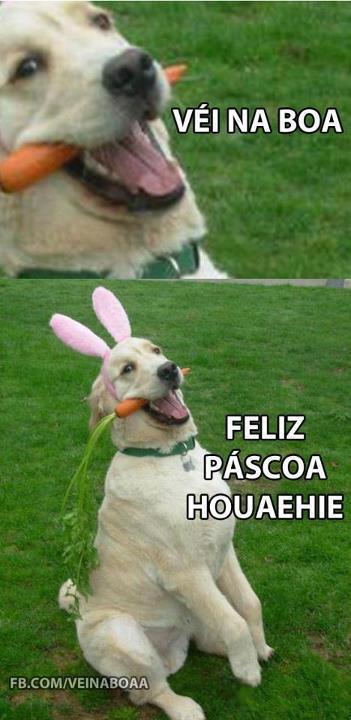 Biscoitinhos da Vovó