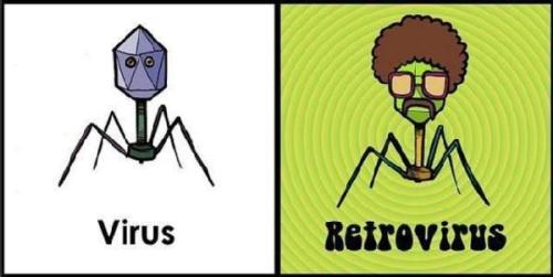 quantumaniac:Virus / Retrovirus