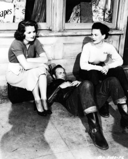 Vintagegal:  Mary Murphy, Marlon Brando And Yvonne Doughty In The Wild One (1953)