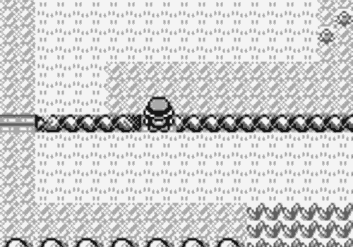 Meet The Creeper