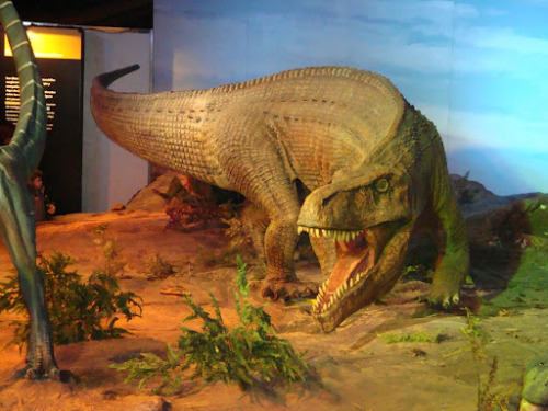 Saurosuchus  Mounted specimen from Ischigualasto Provincial Park, San Juan, Argentina Reco