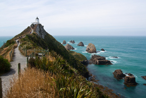 Nugget point lighthouse, Catlins, southern New Zealand (by _perSona).