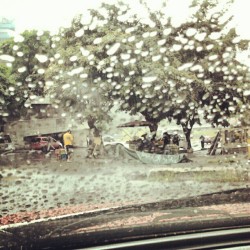 Llueve en palo verde… (Tomada con