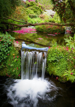 bluepueblo:  Waterfall Pool, Devon, England