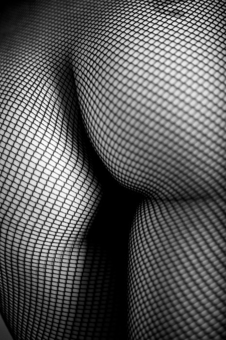 .l.