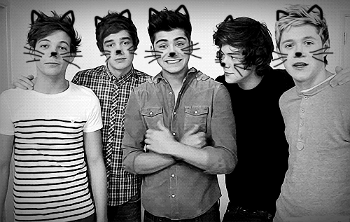 im-ag-ine:  ONE DIRECTION! hands off Zayn ❤  