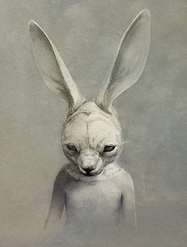 binnorie:  Ryohei Hase 