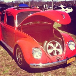 Car Show :) (Taken With Instagram)