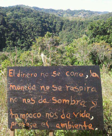 “El dinero no se come, la moneda no se respira no nos da sombra y tampoco vida, protege el amb