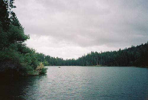 bbralejandra.tumblr.com/post/80780189785/