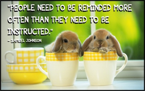 [IMAGE DESCRIPTION: TWO BROWN BABY BUNNIES REST IN YELLOW AND WHITE TEACUPS. SAMUEL JOHNSON’S 