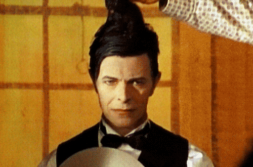 chainsawmascara:  bohemea:  nightswimming:  David Bowie and a little kitten…on