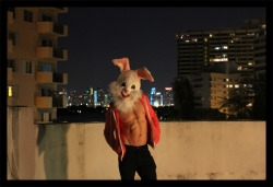  Easter Bunny? WTF! - Alexander Guerra 2012