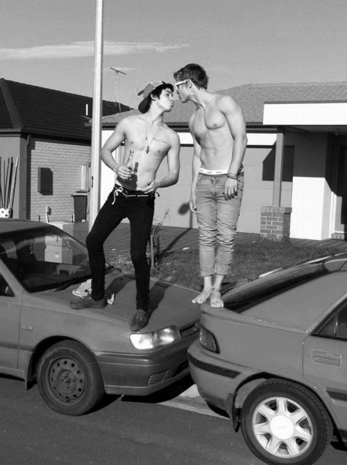 car lovers