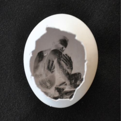 photojojo:  Pinhole camera eggs for the eggiest porn pictures
