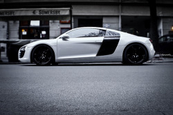setbabiesonfire:  I love Audi’s. Especially the R8. Pure sex machine.